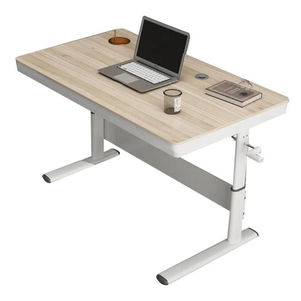 Contemporary Adjustable Standing Desk