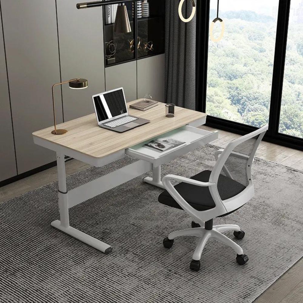 Contemporary Adjustable Standing Desk